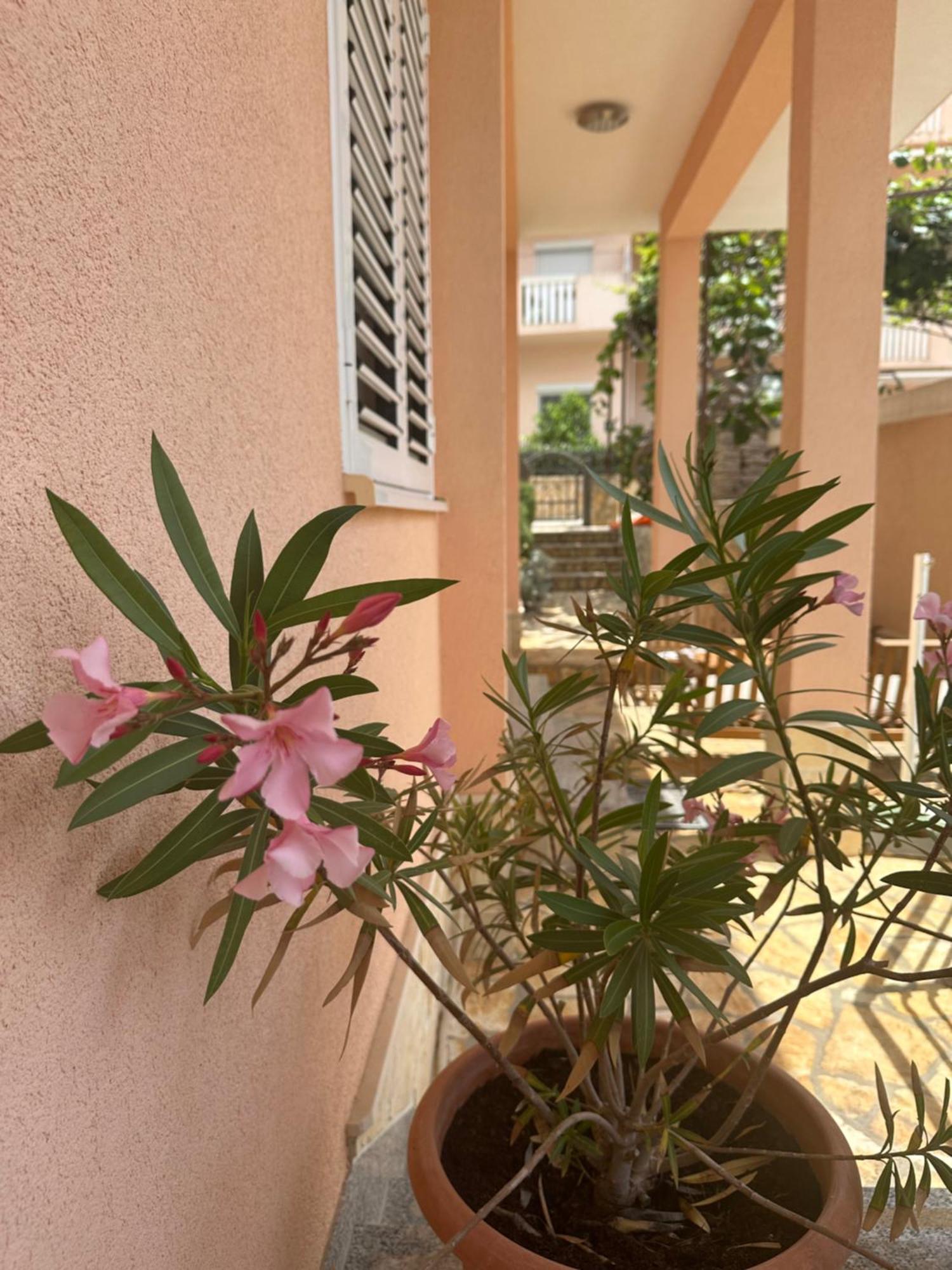 Apartments Zlatka Trogir Buitenkant foto